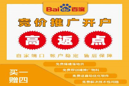 竞价排名的投放策略与效果评估案例